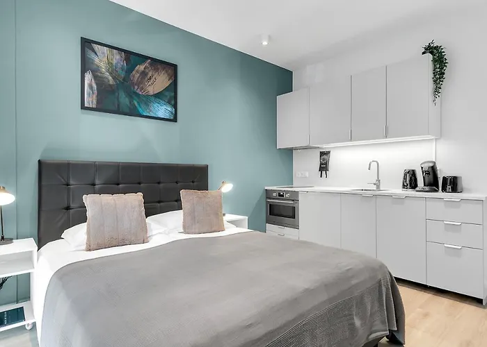 Modern Studio In Downtown Reykjavik