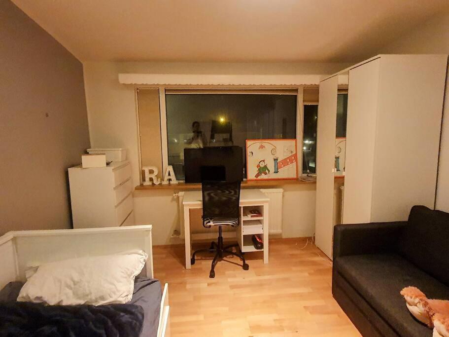 Villa Modern And Spacious House In Seltjarnarnes. *