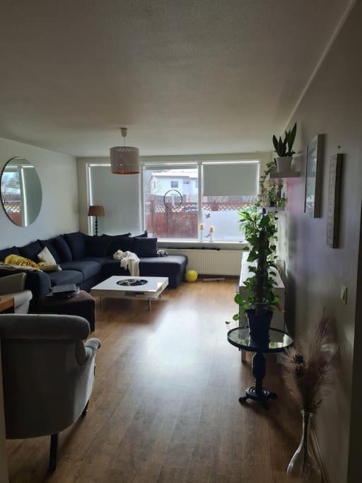 Charming Apartamento Reiquiavique