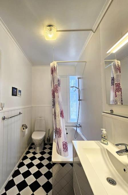 Capacious Downtown Vintage Gem Holiday home *