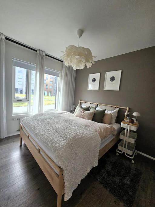 The Love Nest In * Reykjavík