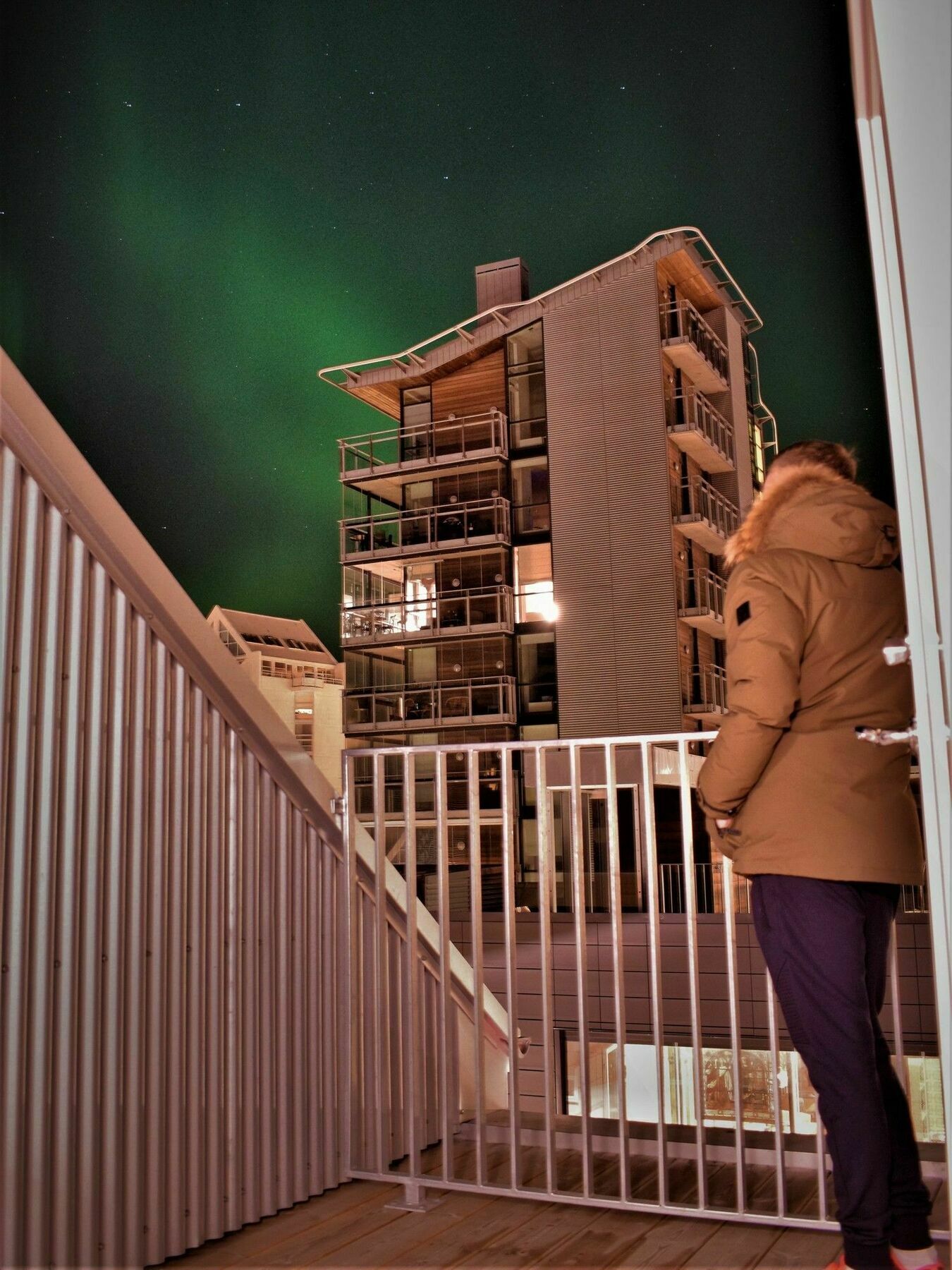 The Swan House - Reykjavik