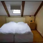 Central 4 Bedroom 3 Storey Apartment
