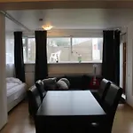 Beautiful Studio Apt. Walking Distance To Dt Rvk.