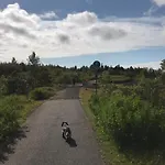 Adorable Tiny House In Reykjavik