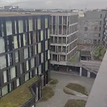 Austur Apartment