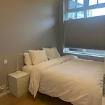 Modern Apt Rvk City Center