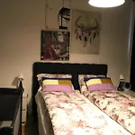 Reykjavik Antique Rentals