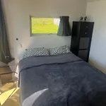 Adorable Tiny House In Reykjavik