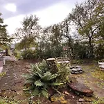 Casa Disa - Dreams, A Boutique Guesthouse In Reykjavik City\'S Central Park And Botanical Garden In Laugardalur, Hot-Spring-Valley