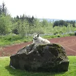 Ulfarsfellsvegur 20, 113 Rvk Birkihlid