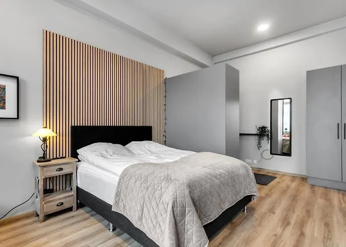 Charming Studio Apartment