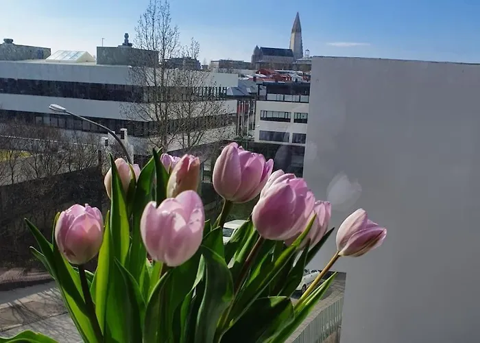 Lovely Modern 1-Bedroom Apartment, Free Parking
