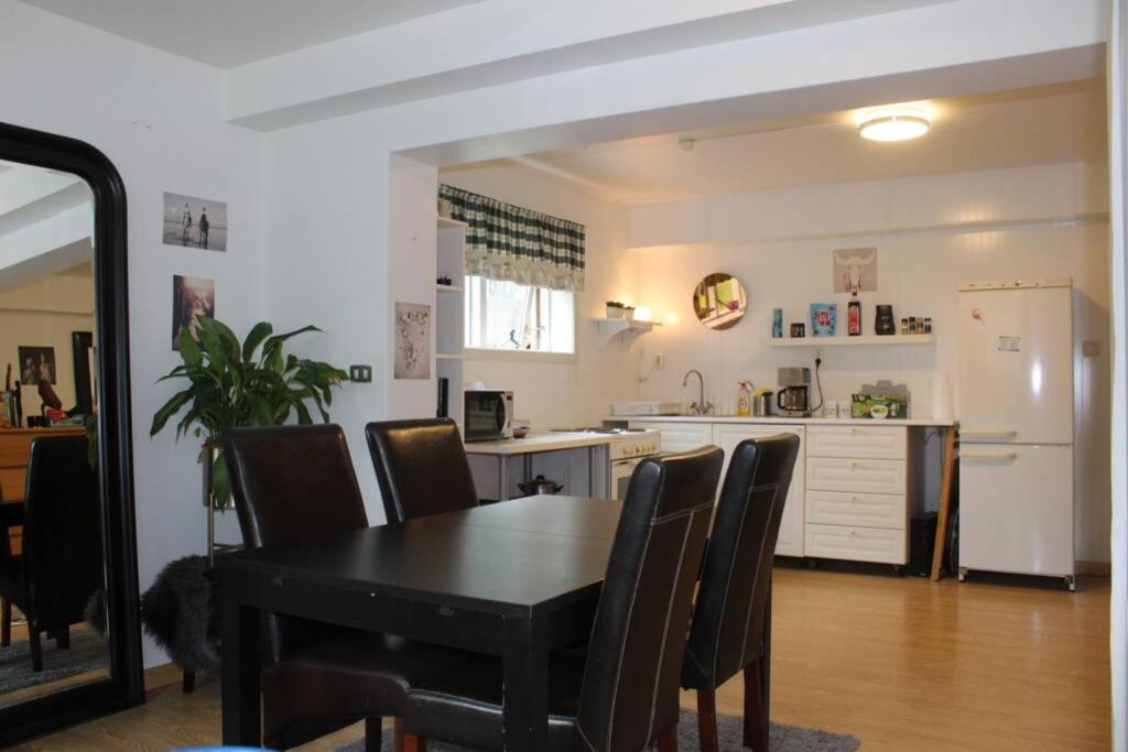 Beautiful Studio Apt. Walking Distance To Dt Rvk. Apartment