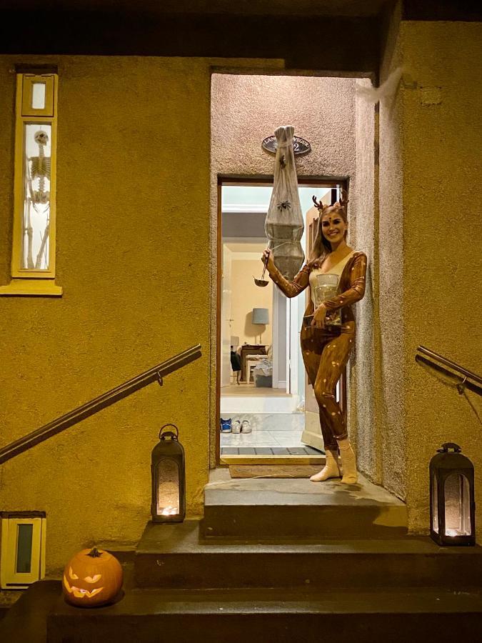 Casa Disa: Boutique In Reykjavik's Park Reiquiavique