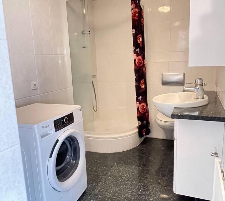 Cozy Centrally Located In Reykjavik