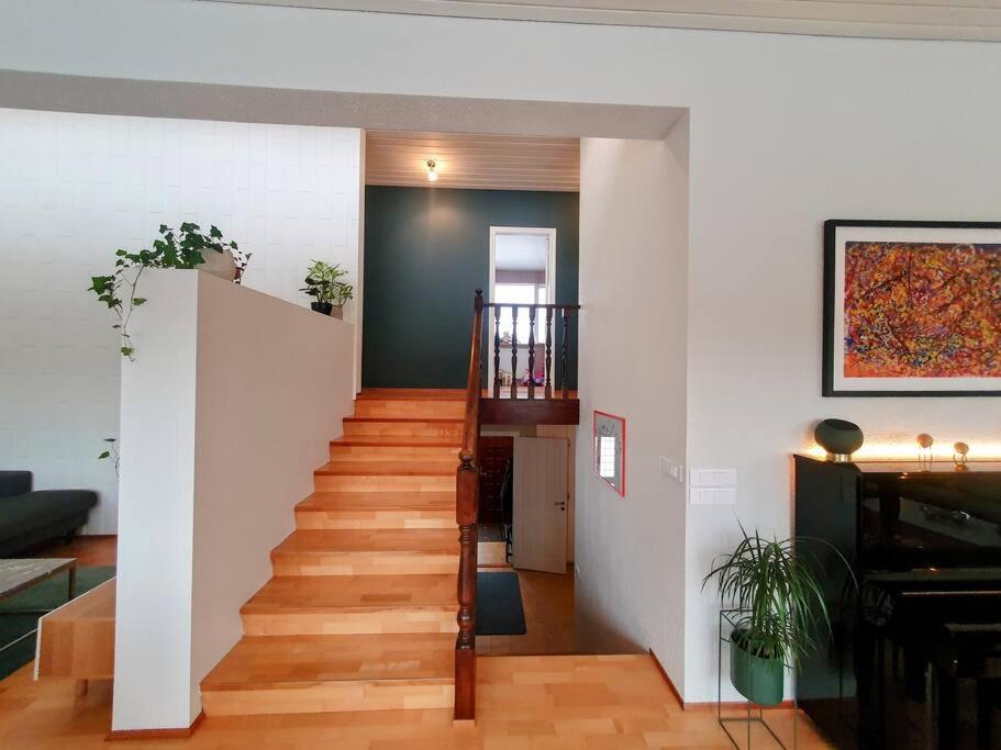 Villa Modern And Spacious House In Seltjarnarnes. *