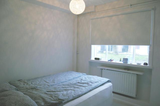 Signy's Nest Reykjavik