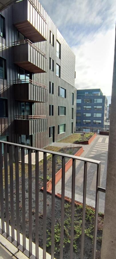 Austur Apartment *