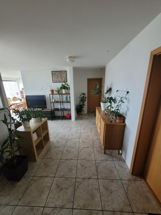 Private In A Share House. Good Location * Reykjavík