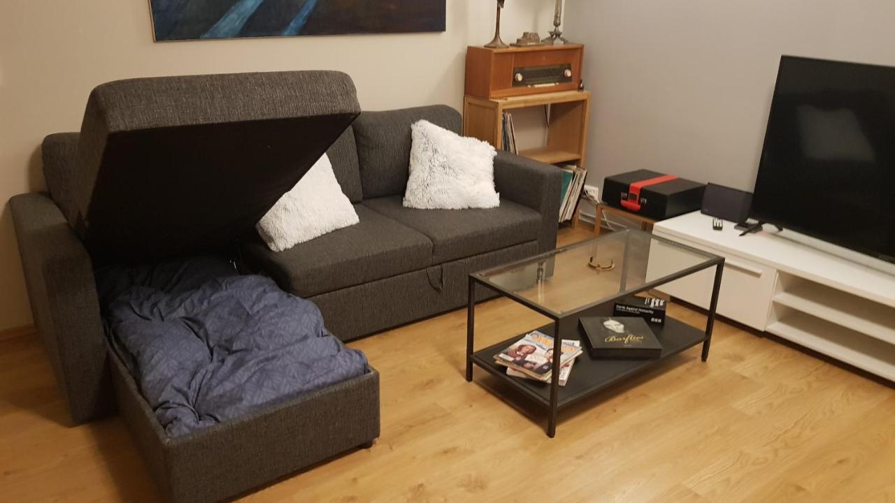 Great Downtown Apartment *