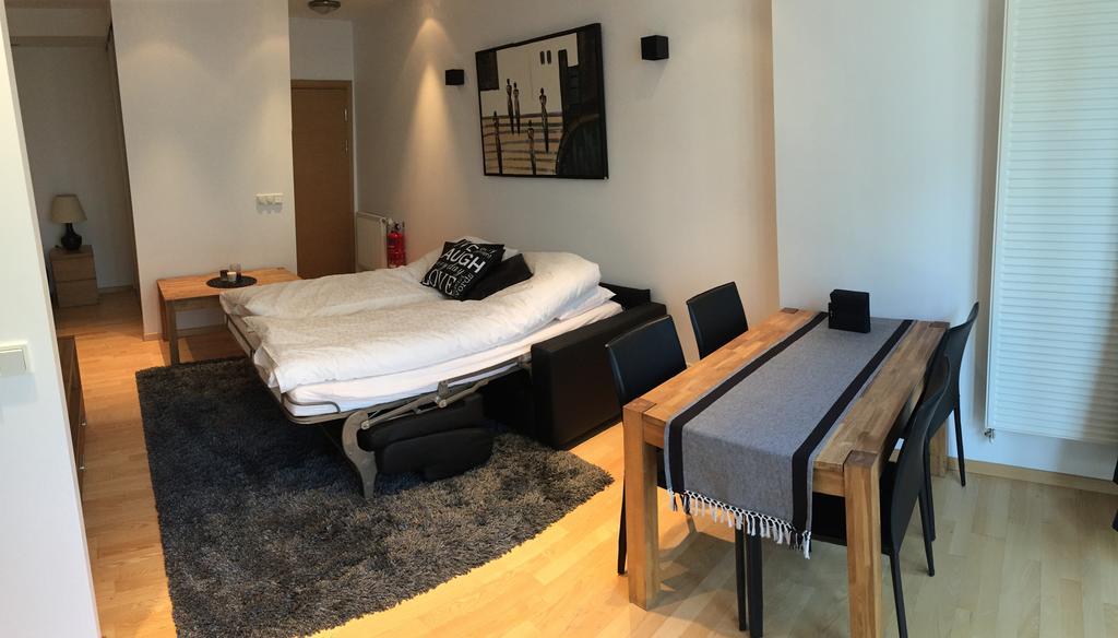 Caze Central Luxury Reykjavik
