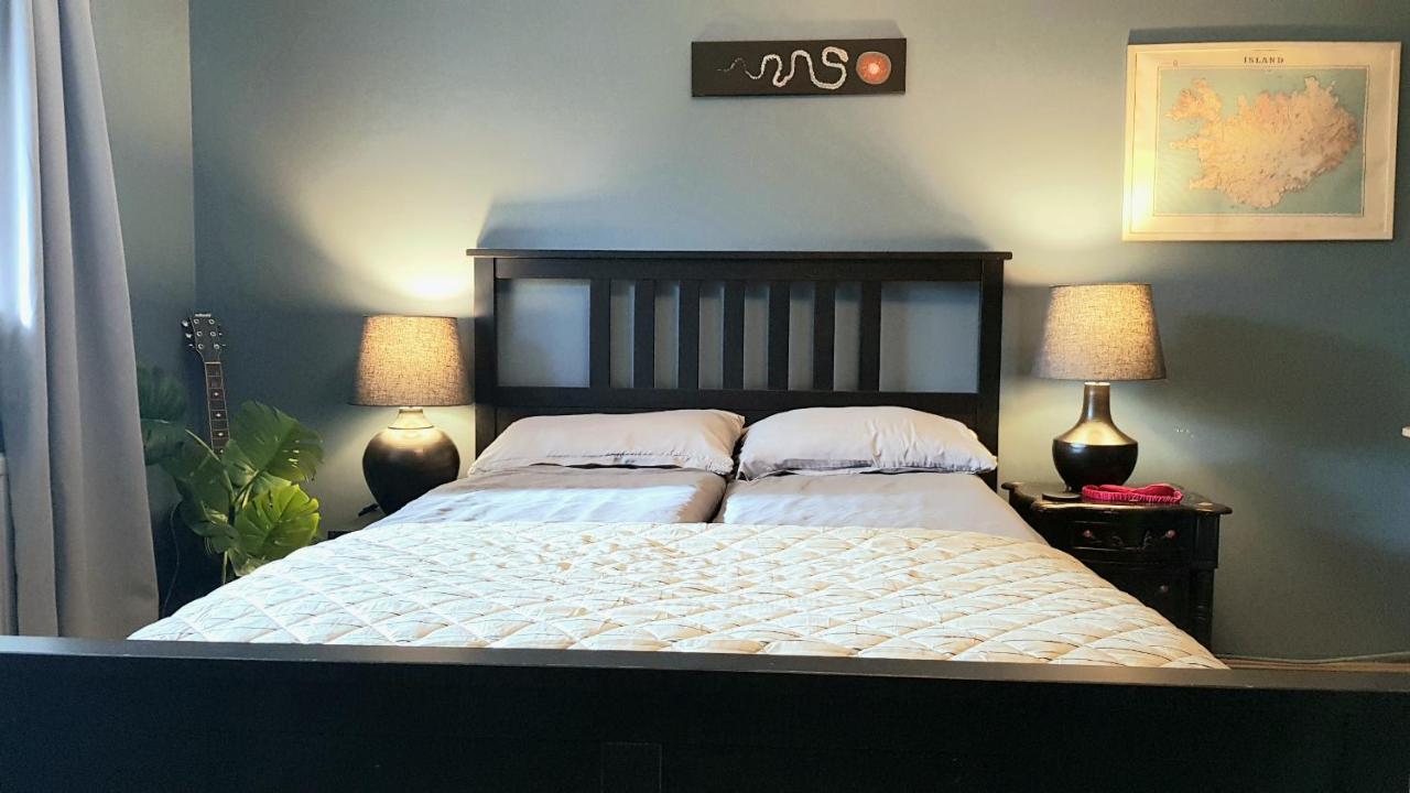 Great Downtown Apartment *