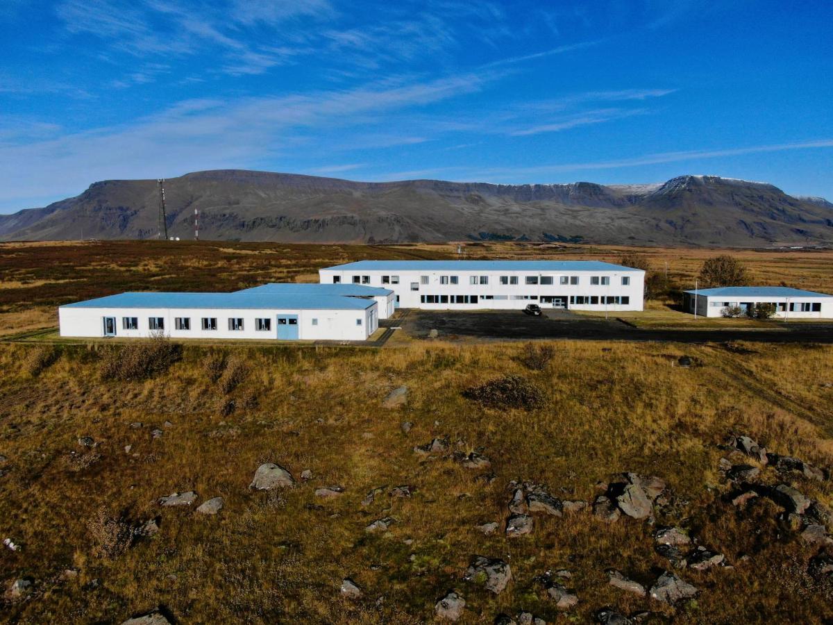 Vithines Reykjavik