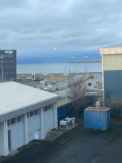 Lovely 1-bedroom With Free Parking Space Apartment Reykjavík