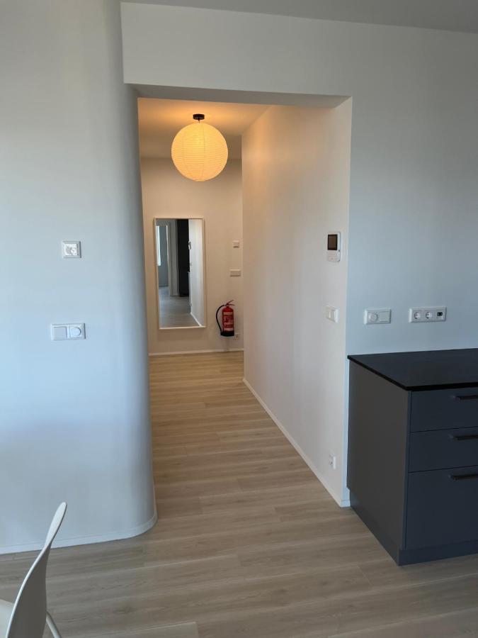 Smari * Reykjavík