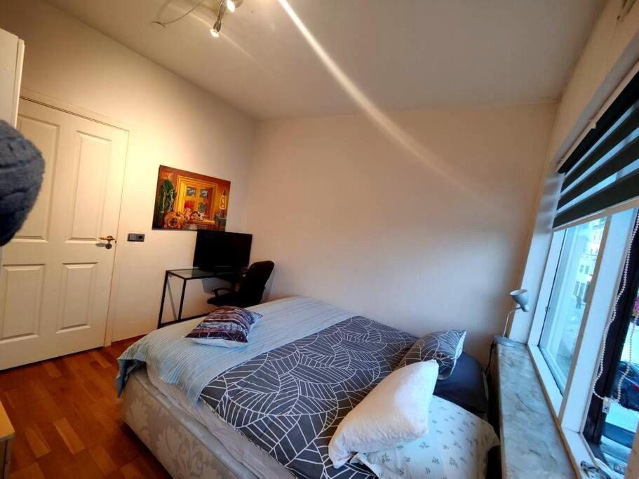 Spacious 7pp In Heart Of Rvk, Quiet Appartement Reykjavík
