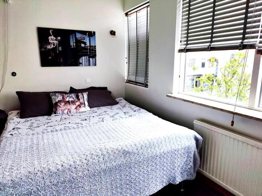 Appartement Spacious 7pp In Heart Of Rvk, Quiet *