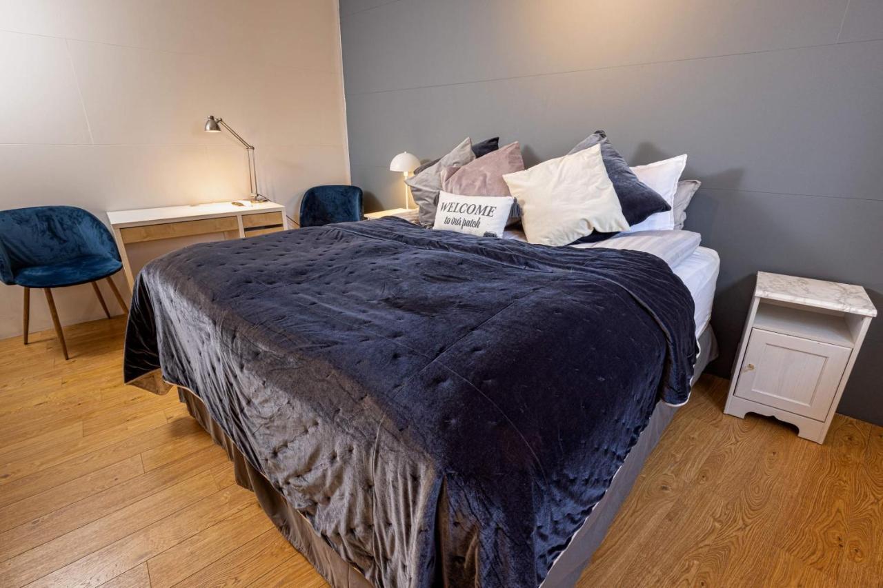 Downtown Sanctuary With Private Entrance Apartment