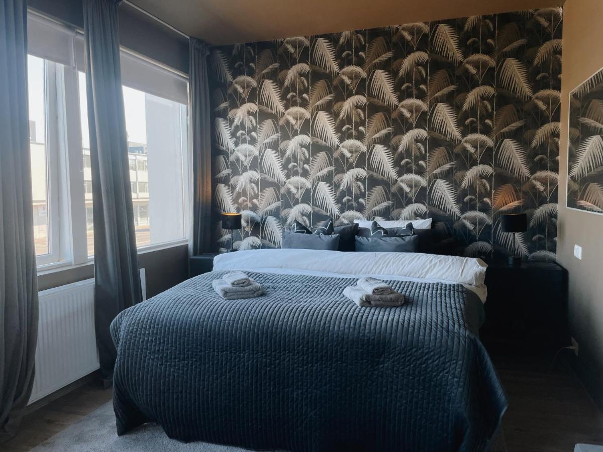 Centrally Located, Comfy, And Spacious Apartment.