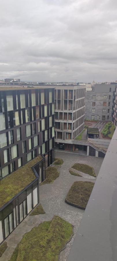 Austur Apartment