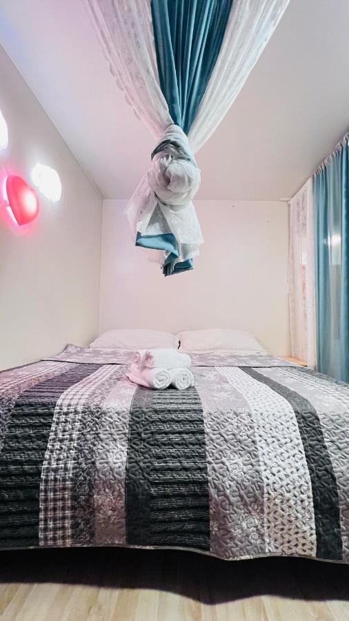 Homestay Nordic International Reykjavik