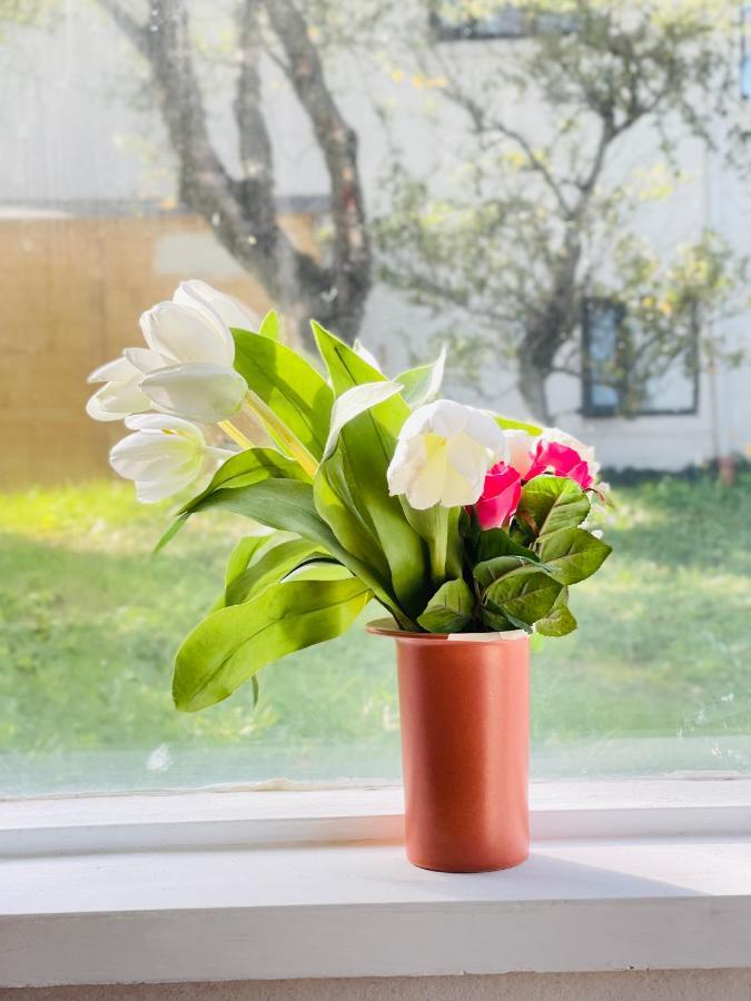 Homestay Nordic International Reykjavik