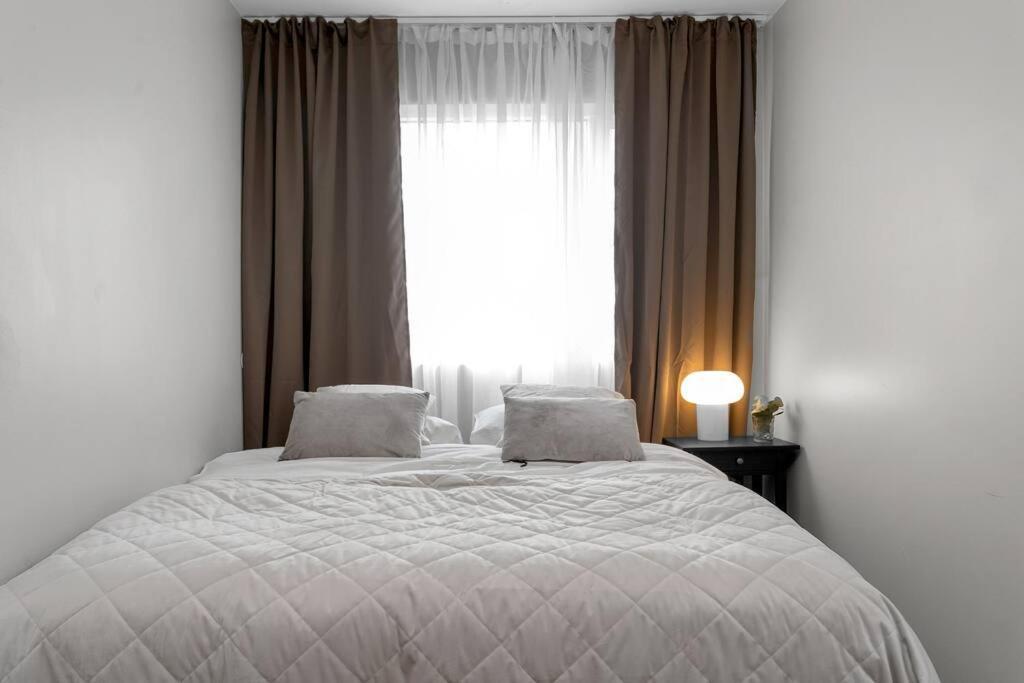 Cheerful 3br Down Town Newly Renovated Apartment *