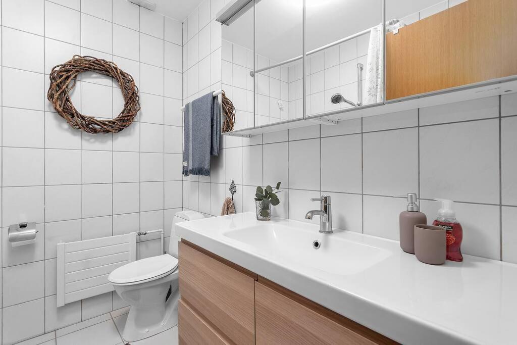 Cheerful 3br Down Town Newly Renovated Reykjavik