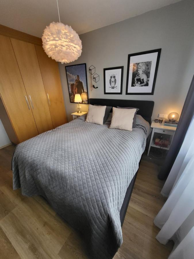 Cozy 2 - Bedroom In Amazing Location. Apartment Reykjavik