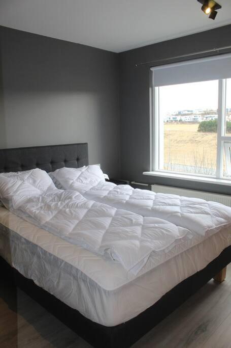 Apartment Charming 1br Apt Convenient Reykjavík
