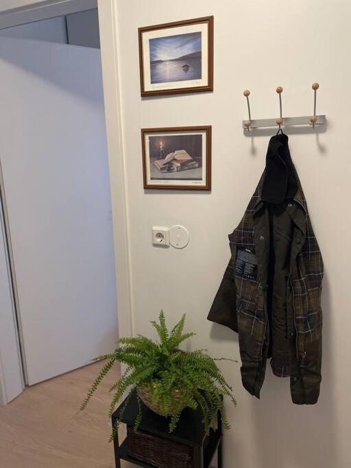 Hugguleg Ibuth - Cozy Appartement Reykjavík