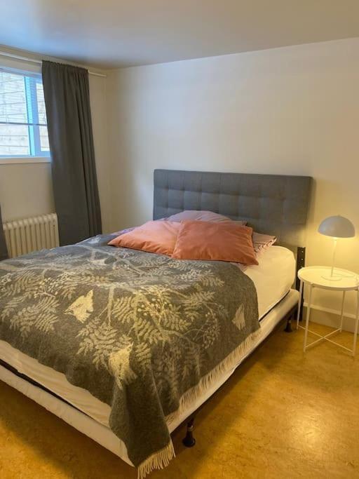 Centrally Located, Cozy W Free Prk. Appartement