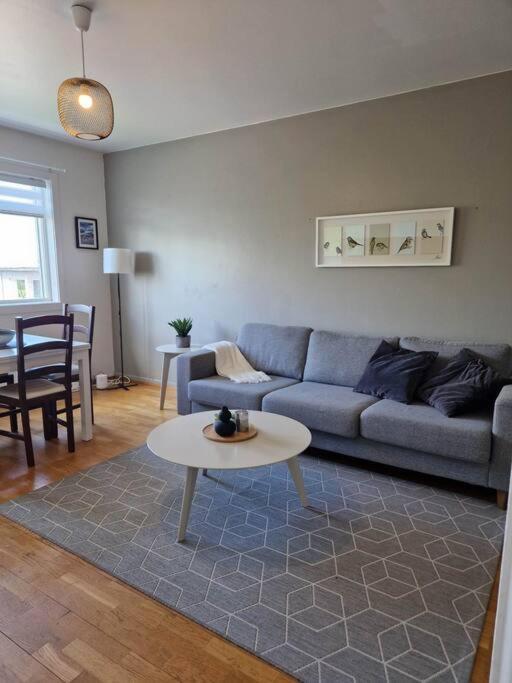 In Downtown Apartment Reykjavik