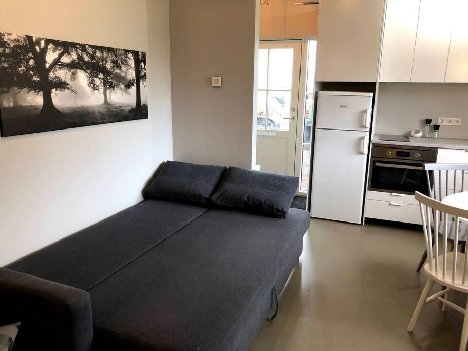 Adorable One Bedroom With Free Parking. Reykjavík