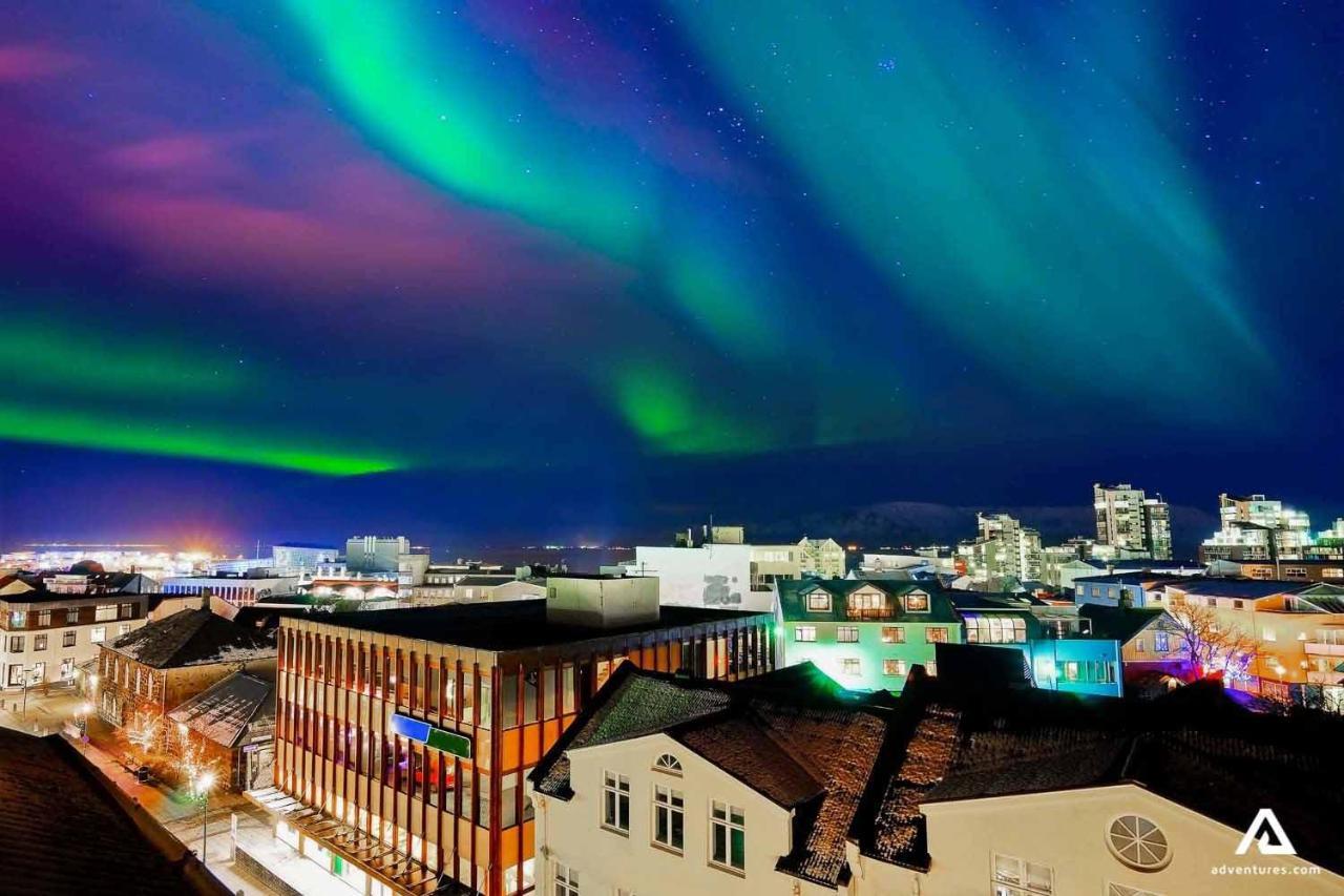 Floki's Downtown. * Reykjavik