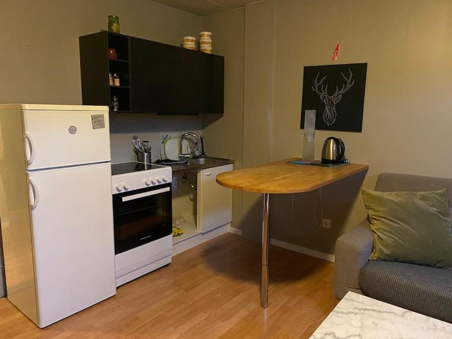 A Cozy One-bedroom Basement In Rvk Suburbs
