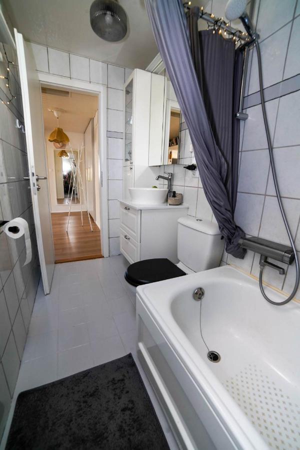 Cozy In The Heart Of Reykjavik! Apartment