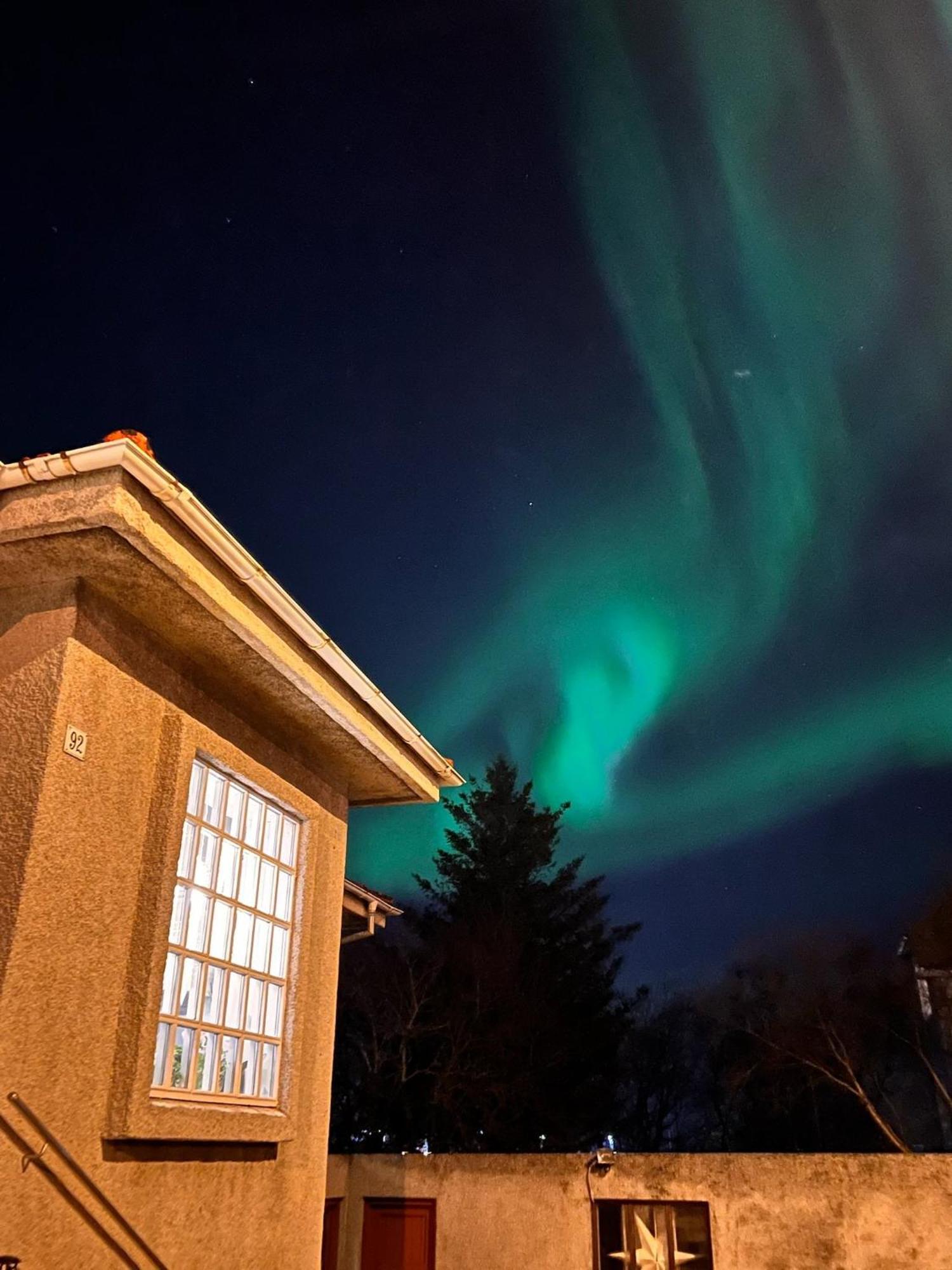Appartement Casa Disa - A Boutique In City's Park And Botanical Garden In Laugardalur, Hot-spring-valley
