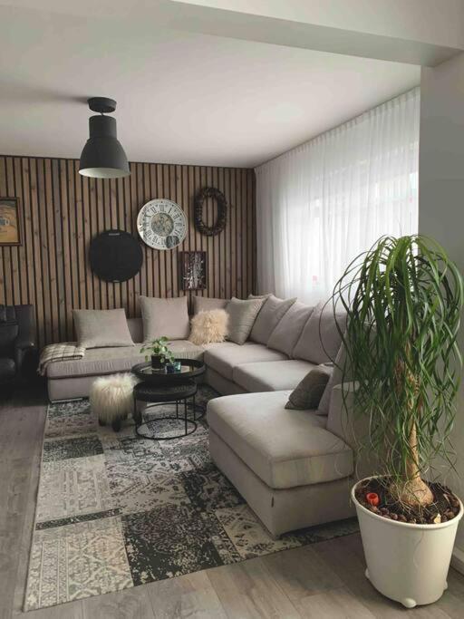 Cozy Free Parking Apartment *